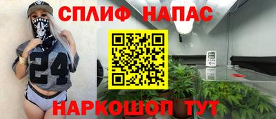 мдпв Моздок
