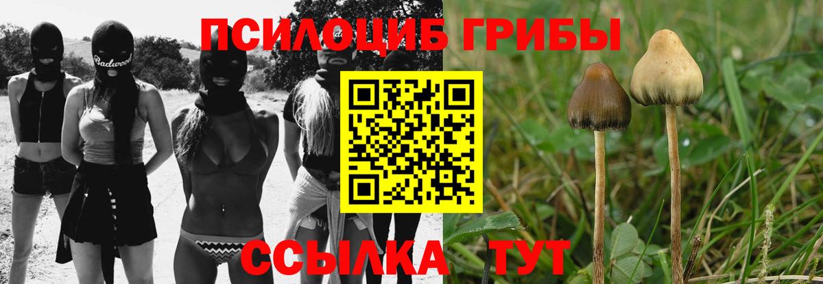 Псилоцибиновые грибы мицелий Чайковский