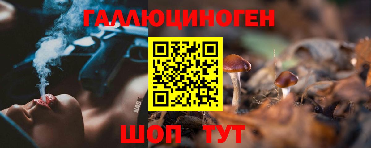 Чайковский  продажа наркотиков  Вход с VPN  Псилоцибиновые грибы Psilocybe  Псилоцибиновые грибы мицелий 